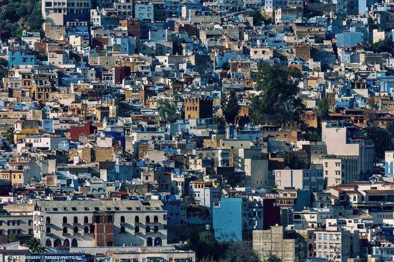 марокко, здания, дома, город, африка, пейзаж, архитектура, шефшауэн, улицы, северная африка, панорама, синий город, morocco, buildings, houses, city, africa, landscape, architecture, chefchaouen, streets, north africa, panorama, blue city Мозайка из домов | Mosaic of houses фото превью