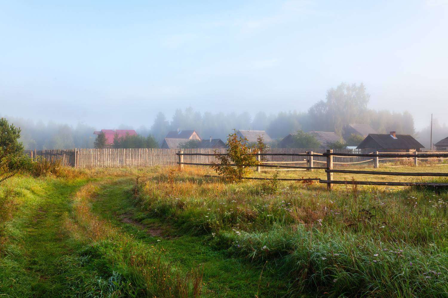 Автор: Васенков Геннадий , Васенков Геннадий