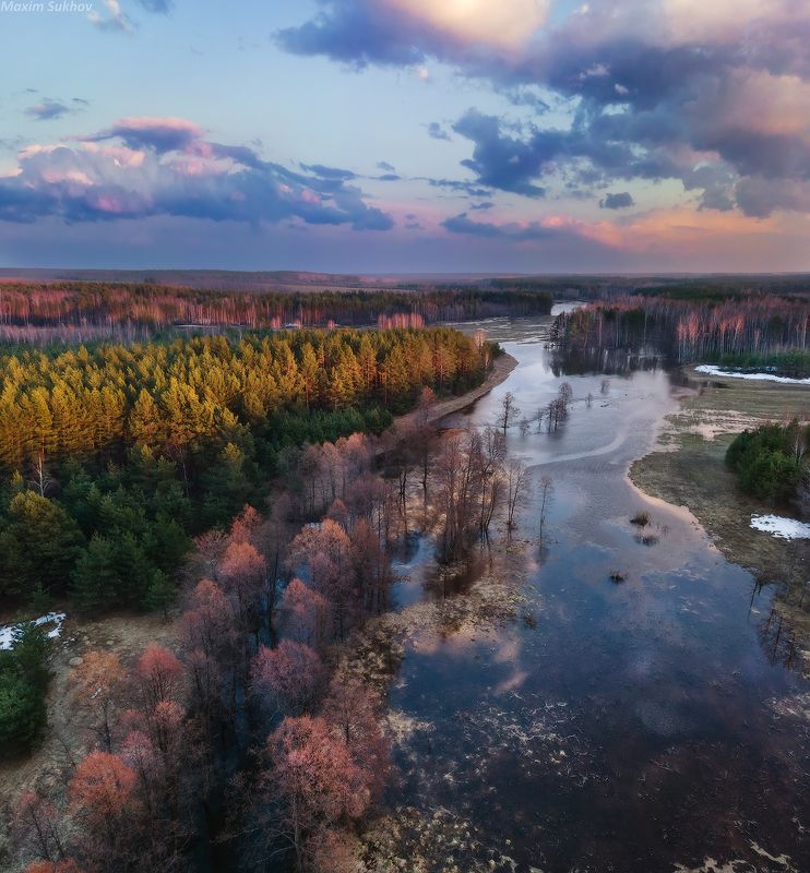 разлив, половодье, весна, сосны, закат, вечер, апрель Большая вода на Суворощиphoto preview