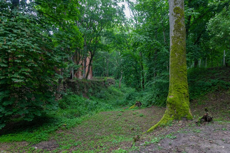 Бальга, Восточная Пруссия, замок, развалины, фотография, пейзаж, природа, Германия, Свирин Вадим, Balga, East Prussia, castle, ruins, photography, landscape, nature, Germany, Vadim Svirin Бальга.photo preview