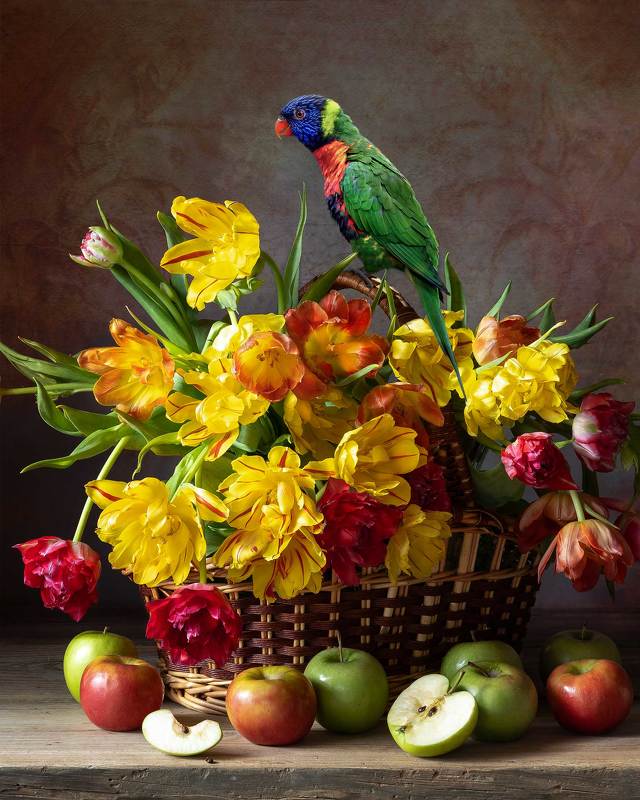 parrot, tulips, still life photography, flowers Basket of Tulips with a Parrotphoto preview