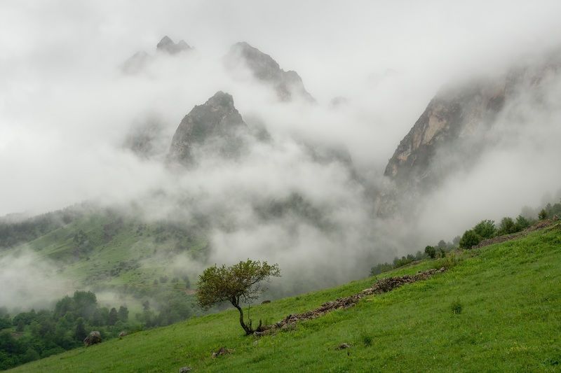 ингушетия, кавказ,горы,цей-ламский хребет, туман ***photo preview