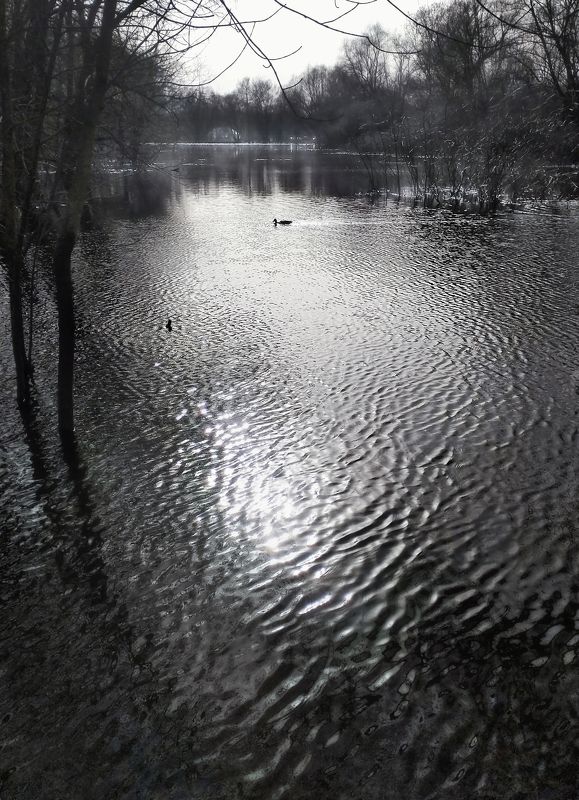 река, половодье, природа, черно-белое Реки мерцающей покойphoto preview