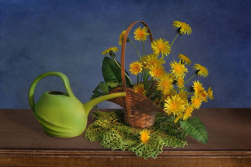 натюрморт,лейка,корзина,одуванчики Одуванчикиphoto preview