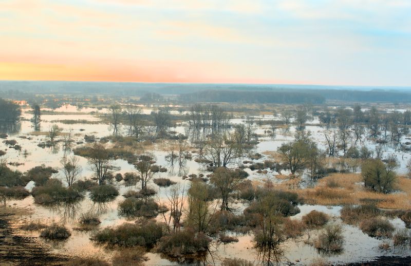 река воронеж, липецкая область, малинино, апрель, река, разлив Острова апреляphoto preview