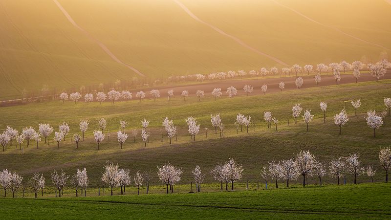 Моравская Тоскана фото превью