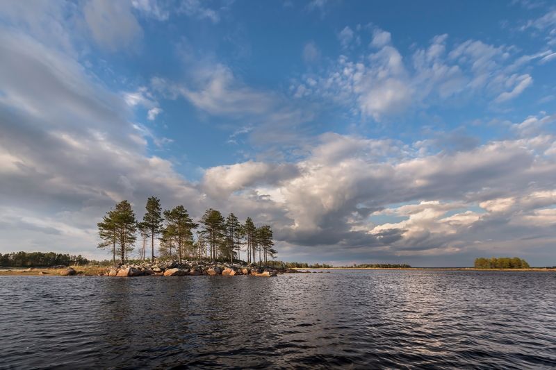 белое, море, устье, река, сиг ***photo preview