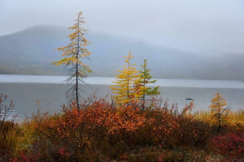 колыма, озеро джека лондона, золотая осень, магаданская область \