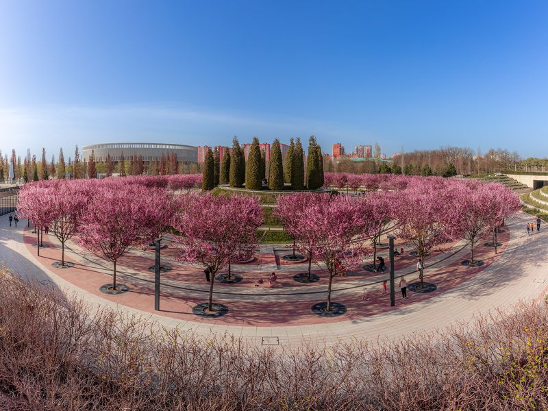 Цветениеphoto preview