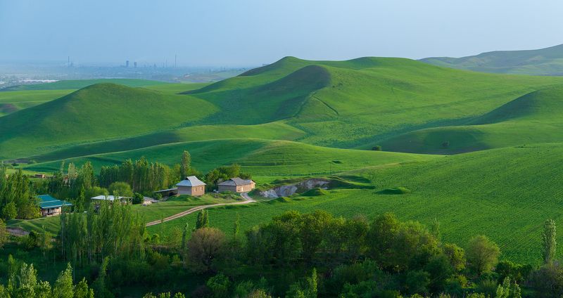 узбекистан, uzbekistan, весна, таваксай, тоскана Таваксайские холмыphoto preview