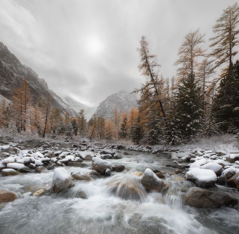 актру, актуру, ак-тру, лиственницы, алтай, горы, горная река, первый снег Непогода в горах... фото превью