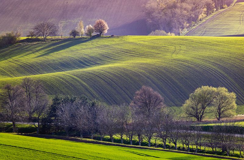 Моравская Тоскана фото превью