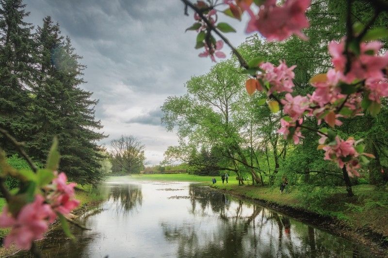 Дождливый деньphoto preview