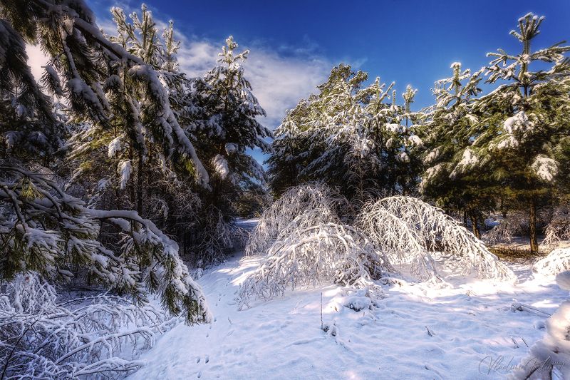 забайкалье Апрельское, чудесное! фото превью