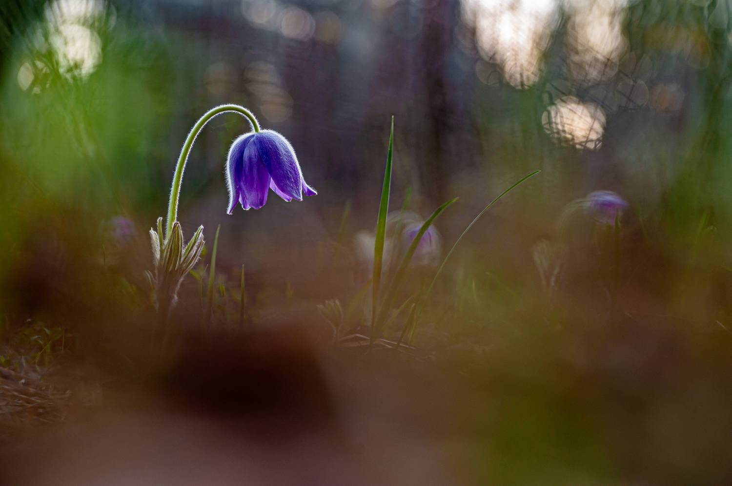 , Зайцев Роман