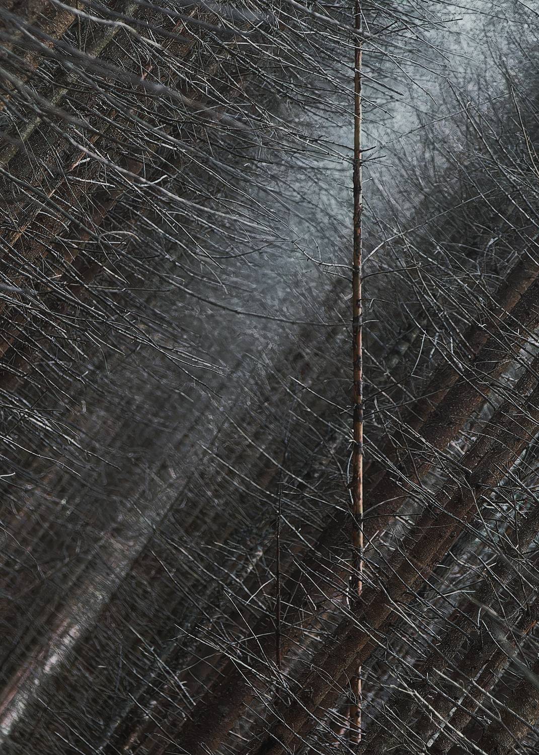 , Загруев Михаил