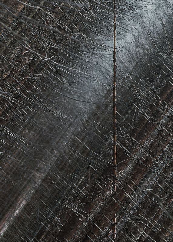 Горизонты фото превью