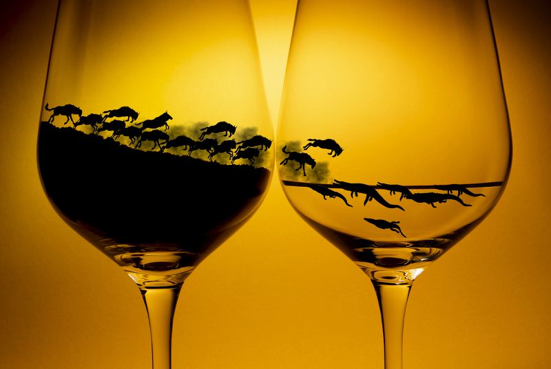 No escapephoto preview