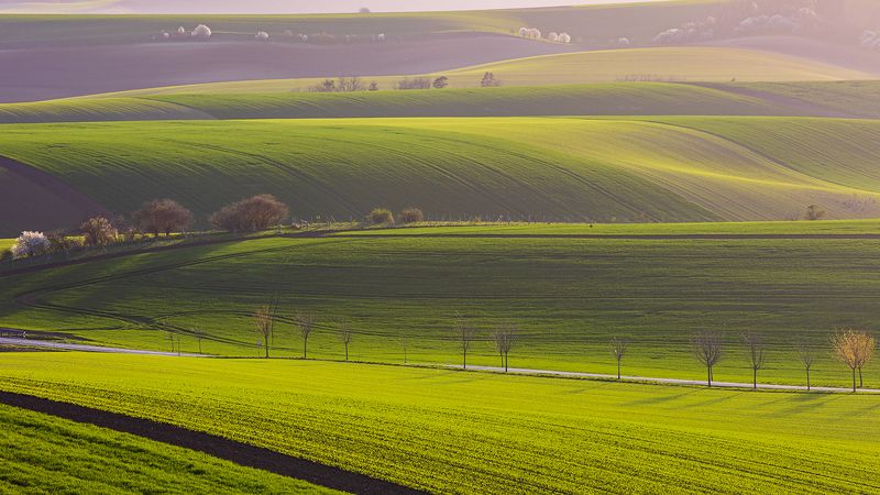 Моравская Тоскана фото превью