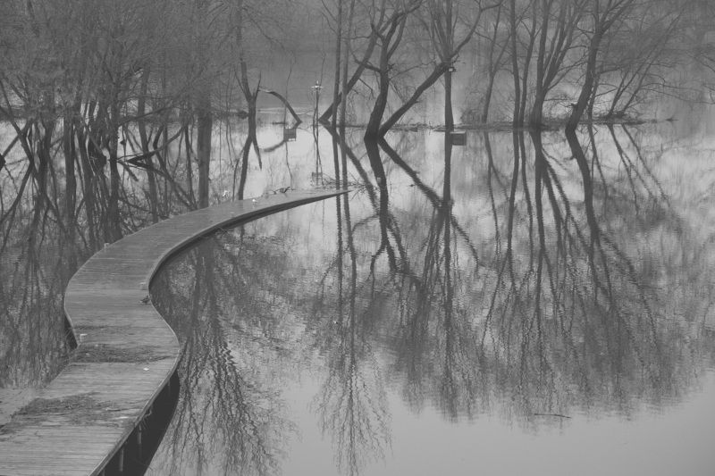 Вода отступаетphoto preview