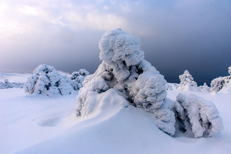 крым зима Крымphoto preview