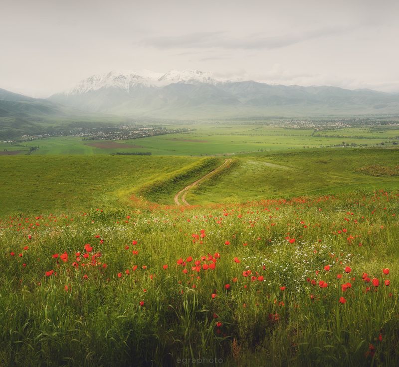 киргизия, кыргызстан, чуйская область Киргизия - Чуйские макиphoto preview