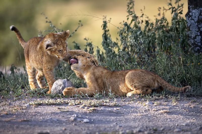 Малышковые будни - 1photo preview