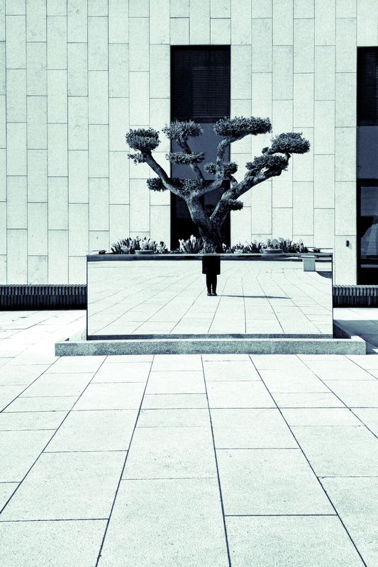 автопортрет,архитектура,отражение Автопортретphoto preview