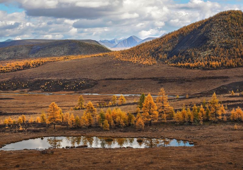 По дороге к оз.Ильчирphoto preview