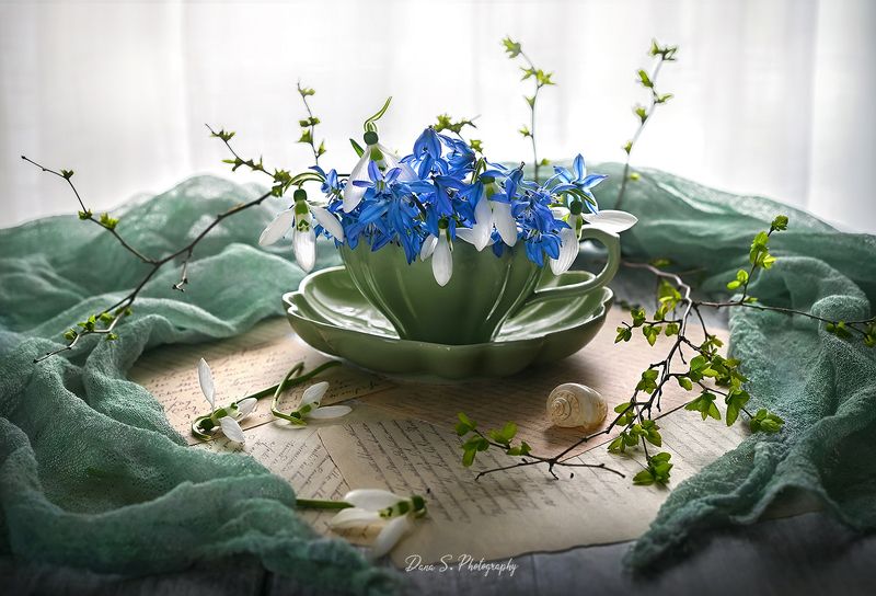 Стихи о веснеphoto preview