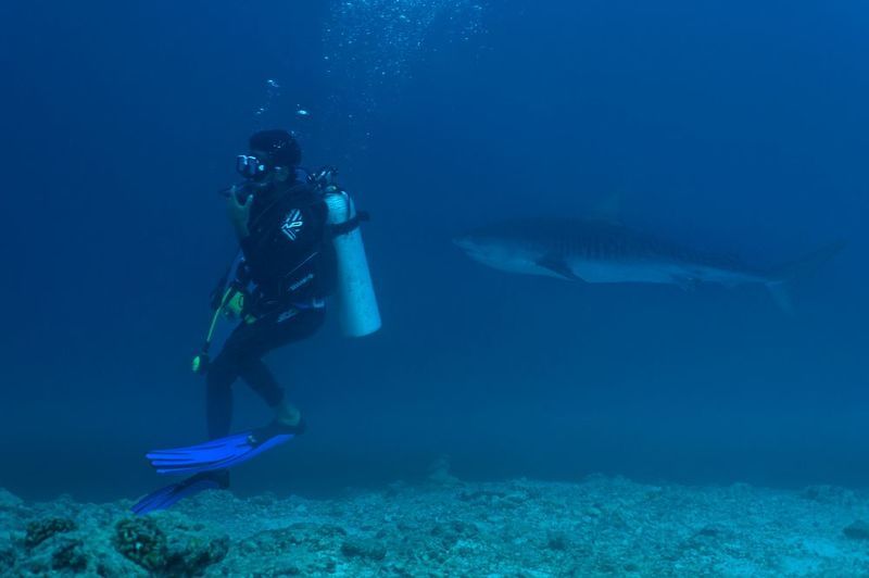 Игра в пряткиphoto preview