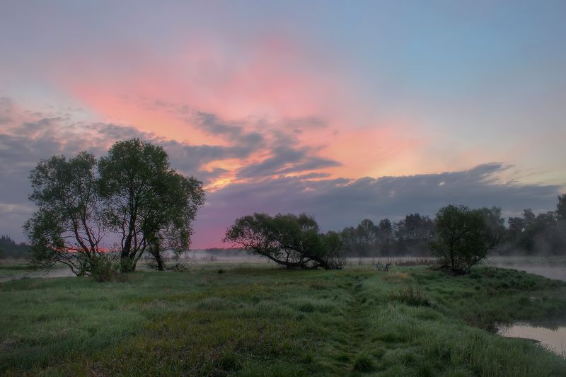 ********photo preview