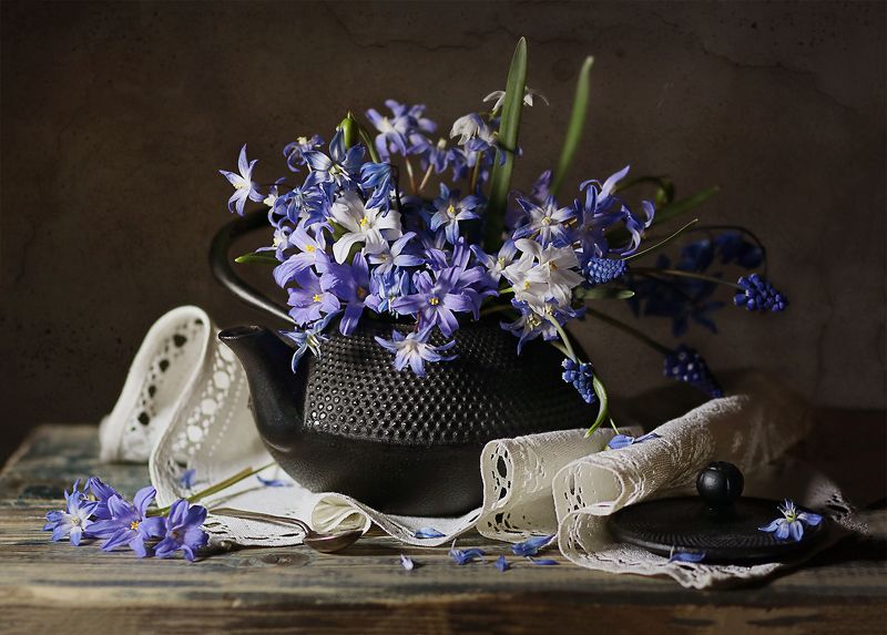 Первоцветыphoto preview