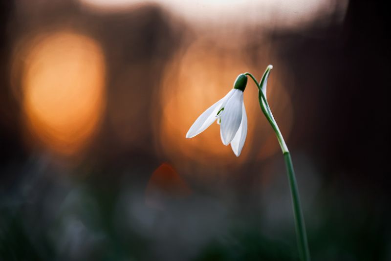 \'Loving sunsets again\'photo preview