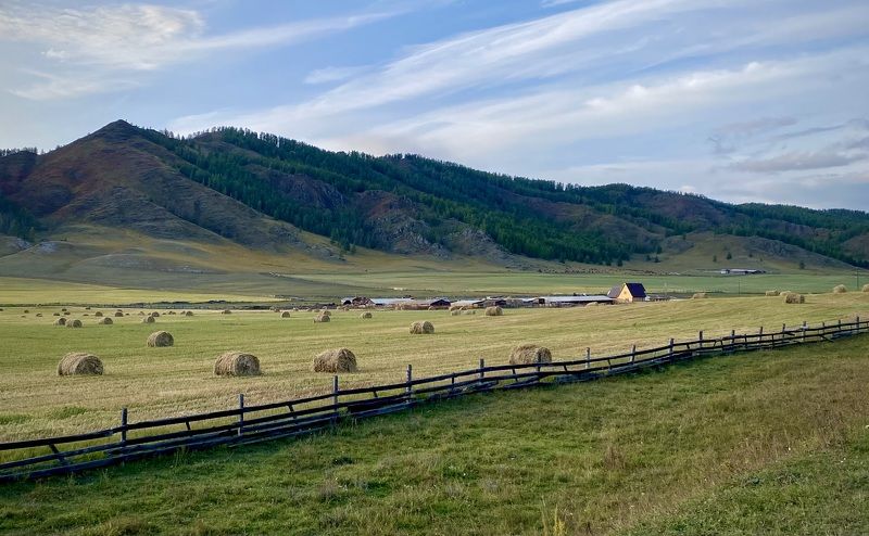 Алтай, хозяйство, ферма, усть-кан, пейзаж  Алтайская фазендаphoto preview