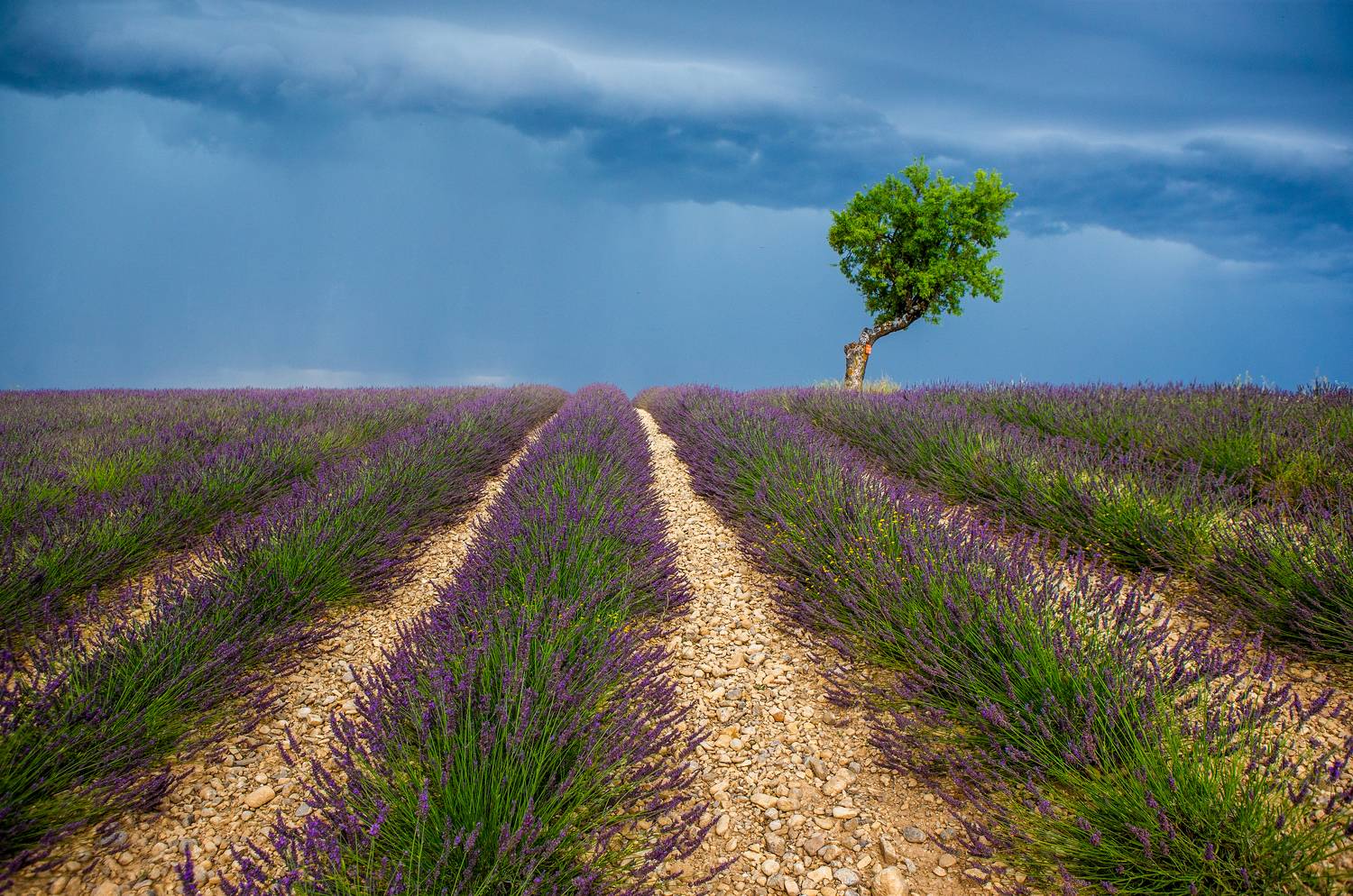 , Гудков Андрей