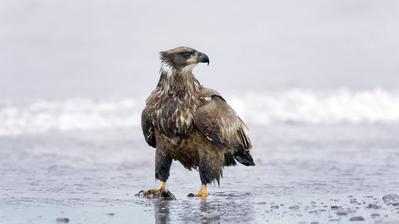 Время отливаphoto preview