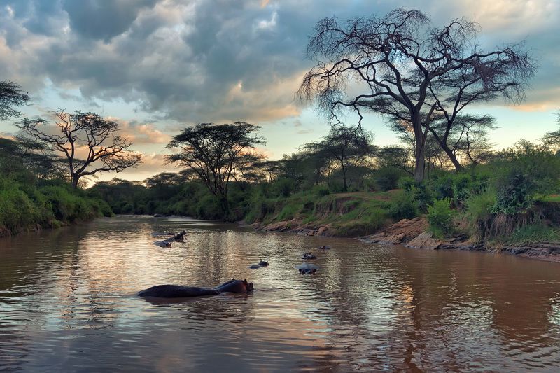 Рай в Серенгетиphoto preview