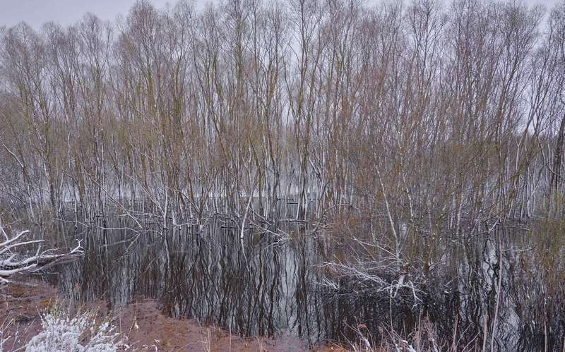...Дразнит нас снежок апрельский, Манит нас уют домашний....(А.Городницкий)photo preview