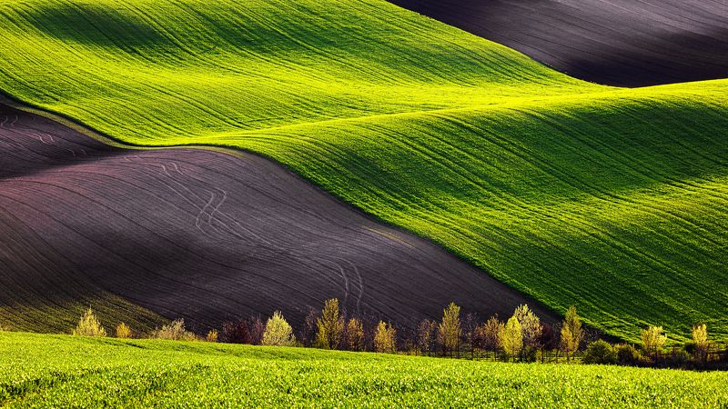 Spring wavesphoto preview