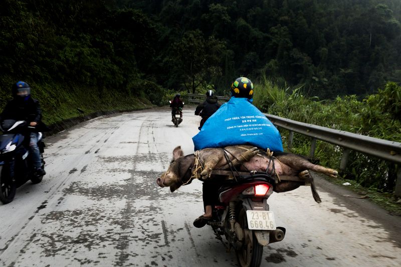 Travelling Vietnamphoto preview
