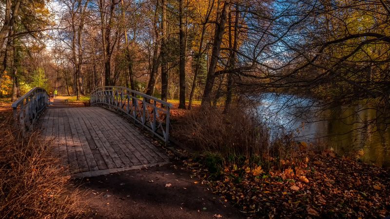 На Елагином островеphoto preview