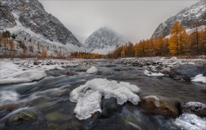 алтай, актру, ак-туру, караташ, кара-таш, фототур на алтай, горный алтай, долина реки актру, осенний фототур на алтай, фототур в монголию, фототур на плато укок, фототуры по россии, фототуры 2024, фототуры влад соколовский Туманный Кара-Ташphoto preview