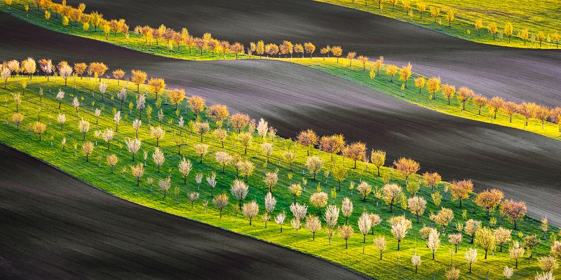 Biobelts South Moraviaphoto preview