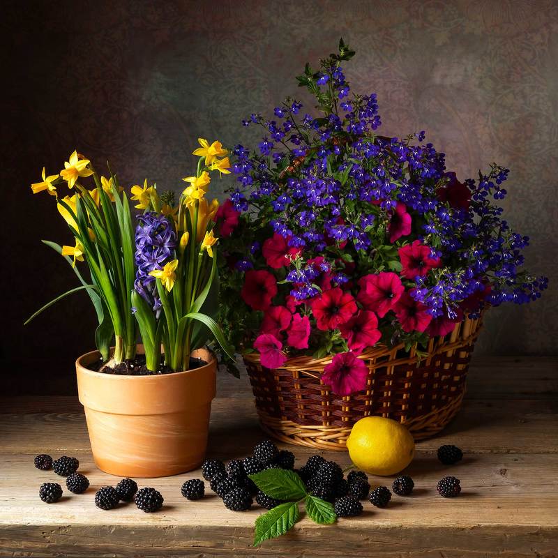 More flowers...photo preview