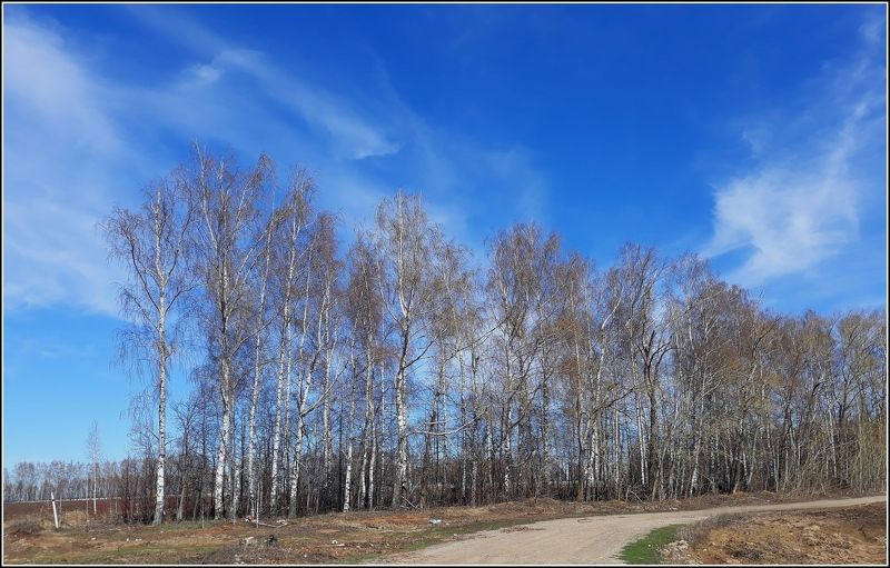 Весеннее настроениеphoto preview