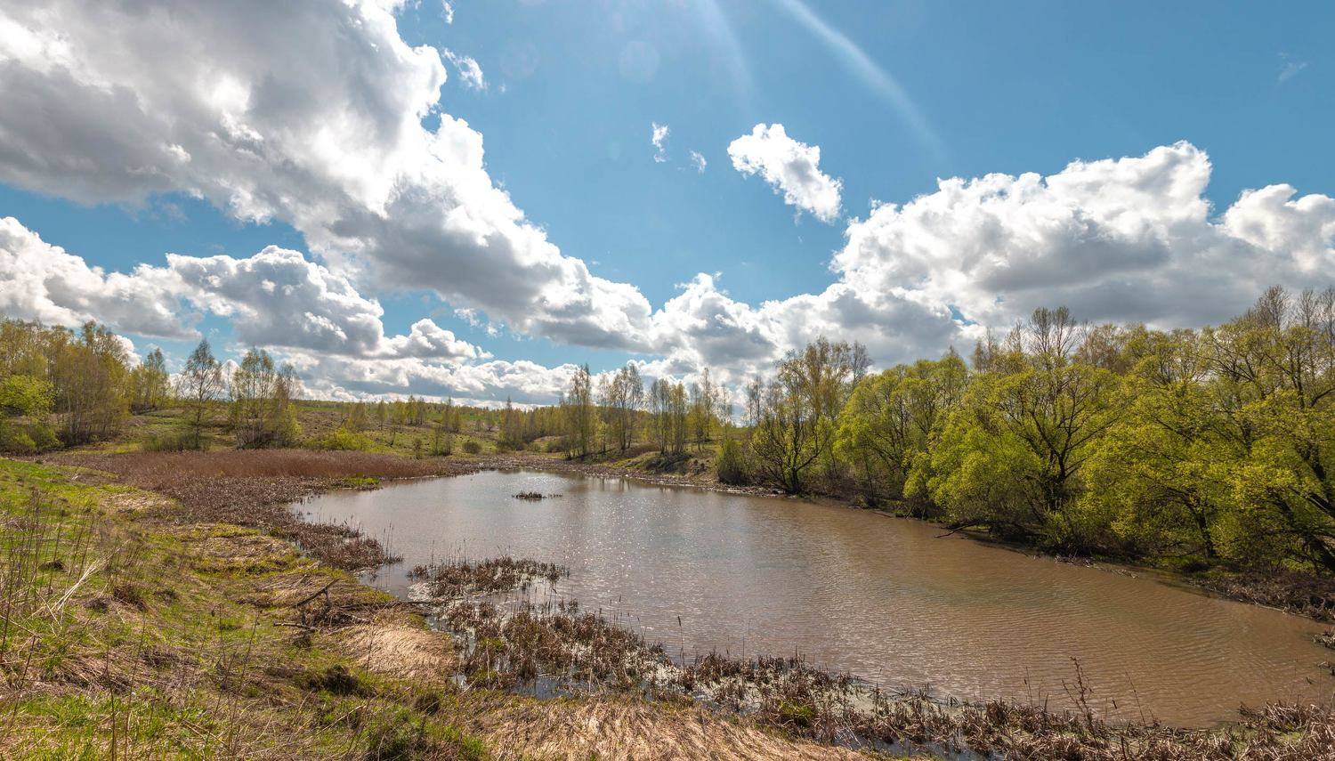 , Александр