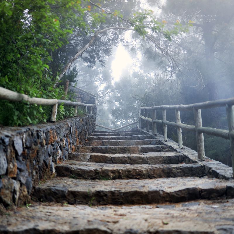 Teide, Canary Islands Tenerifephoto preview