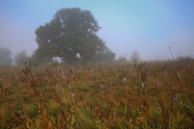 Утро на реке Океphoto preview