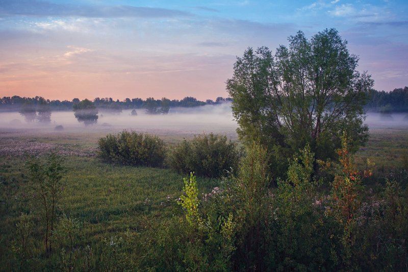 Утромphoto preview